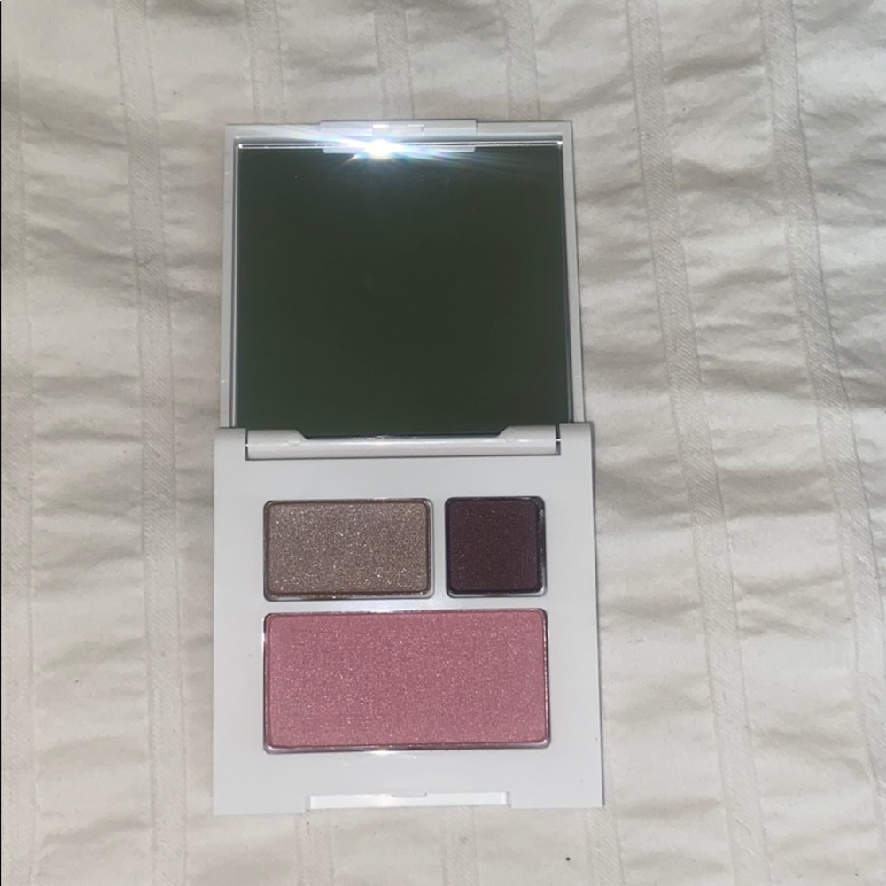 Clinique eye shadow and blush